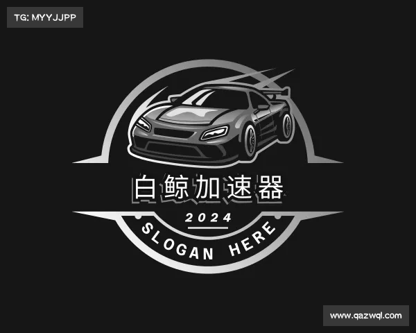 介绍白鲸加速器